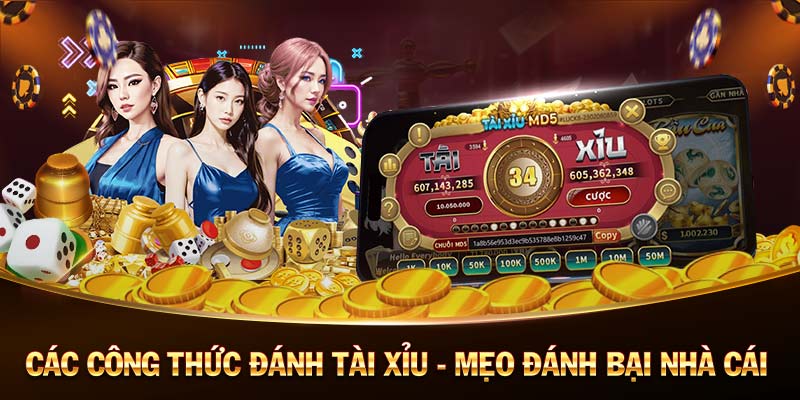 Kèo bet69 trực tuyến - Tỷ lệ bóng đá bet69 hôm nay Kèo bet69 trực tuyến - Tỷ lệ bóng đá bet69 hôm nay